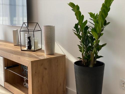 Dwp Apartamenty C26