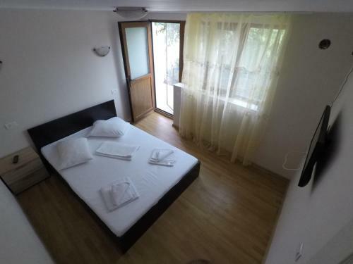 Hostal Delta Ca Odinioara