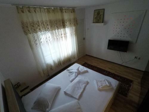 Hostal Delta Ca Odinioara