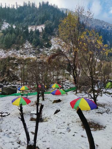 Last Stop Cafe & Camps