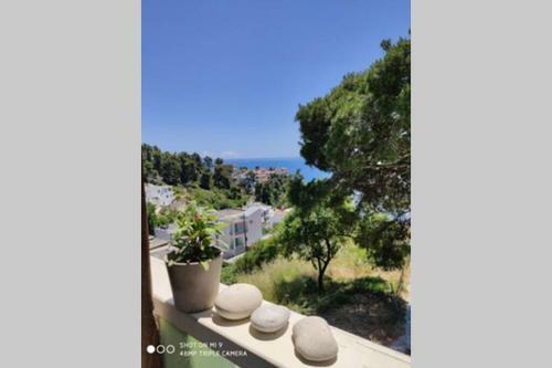 Apartamento Iason Studio 3