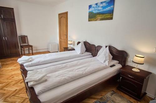 Hostal Pensiunea Selena
