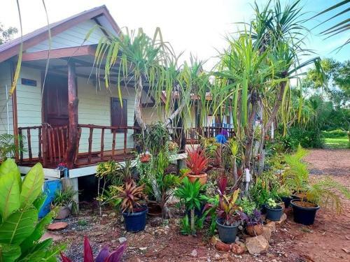 Hostal Blue Sky Bungalow