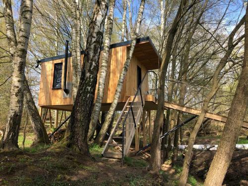 Treehouse 2?apy