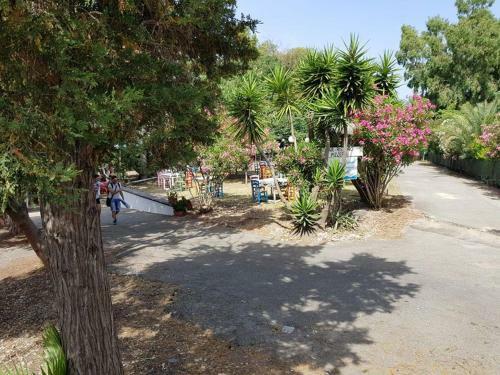 Oasi Park Garden Club