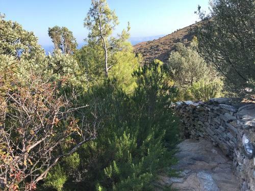 Kea Architect's Villa Beyond Horizon