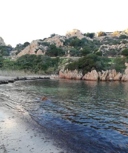 Apartamento Oasigl�
