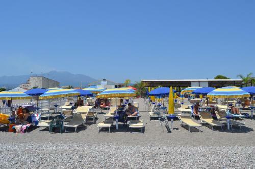 Apartamento Tulipano 7