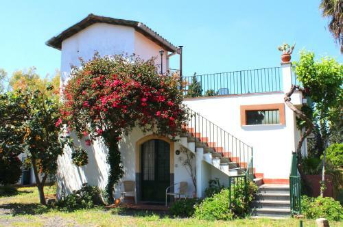 Masseria Delle Arance