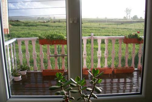 Bed & Breakfast Sloneczna Weranda