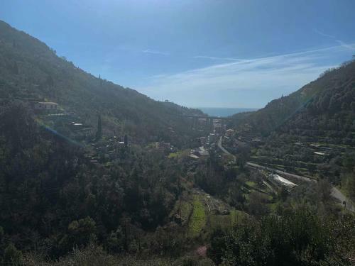 Apartamento Villa Amalia