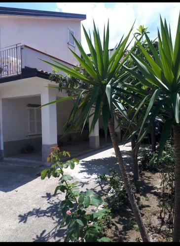 B&B Delle Rose