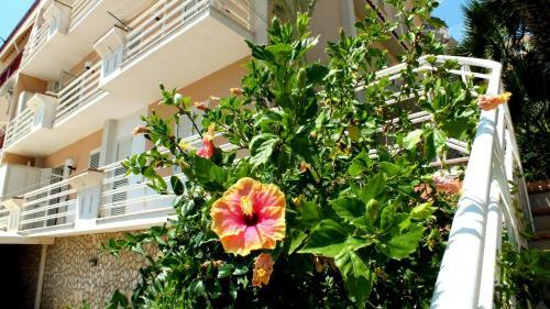 Apartamento Casa Vacanze Ferdinandea