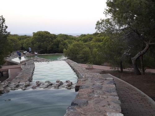 La Mata Apartment 5080