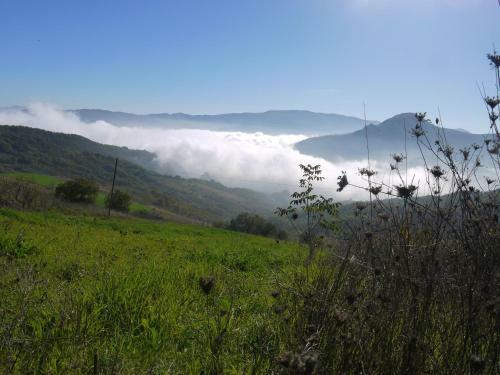 Il Monte Farmhouse