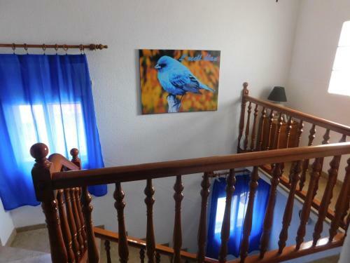 L'ocell Blau