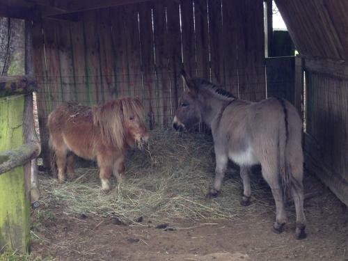 Bed & Breakfast Haras De La Croix D'argent