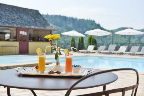 Hotel Ch�teau De Salles