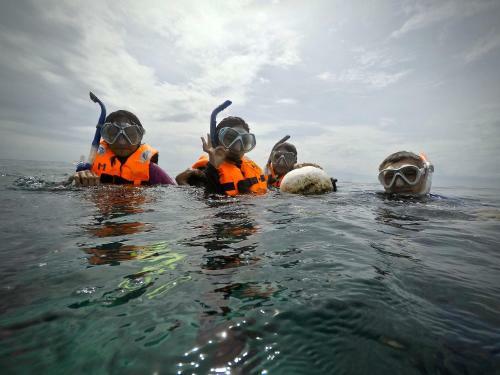 Albergue Alegria Dive Resort
