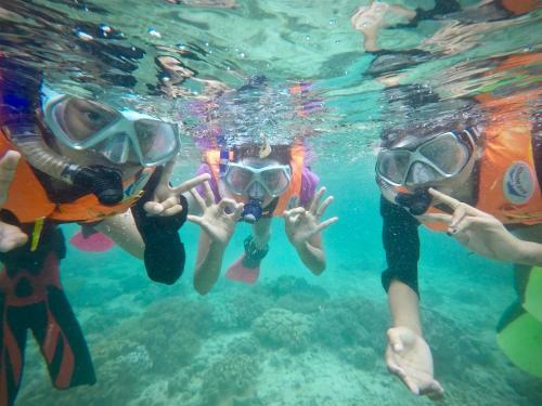 Albergue Alegria Dive Resort