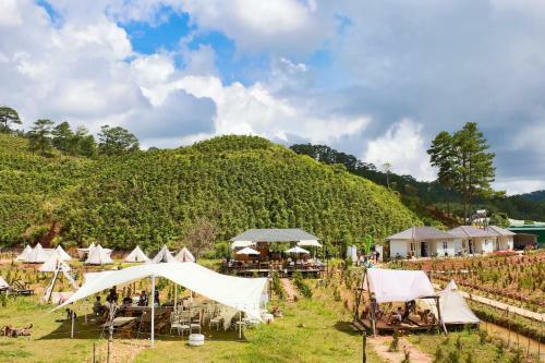 No Love Camp - Glamping ?� L?t