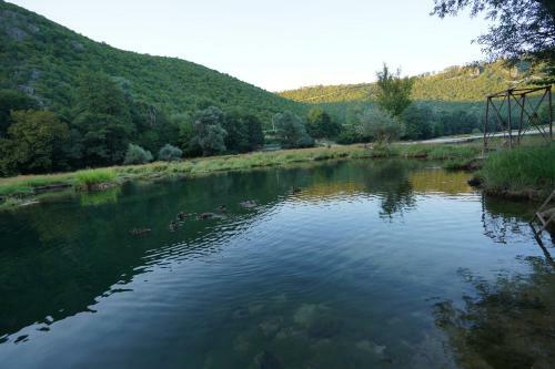 Villa Green River