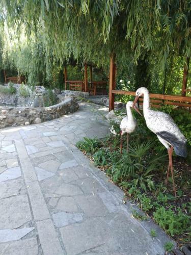 Hostal Menua Resort