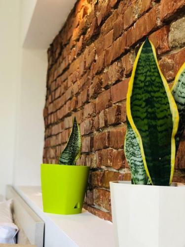 Apartamento City Nest-serviced Studio Room