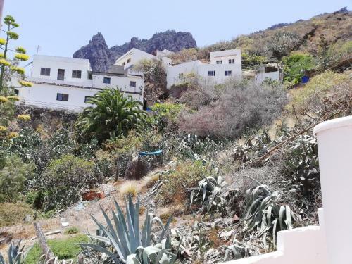 Apartamento Vista Valle De Agaete