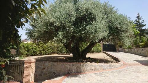 Villa Jose Luis