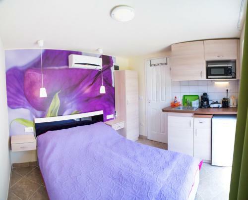 Orgona Apartman- �s Nyaral�h�z