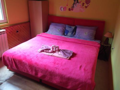 Apartamentos Guest House Kaved?i?
