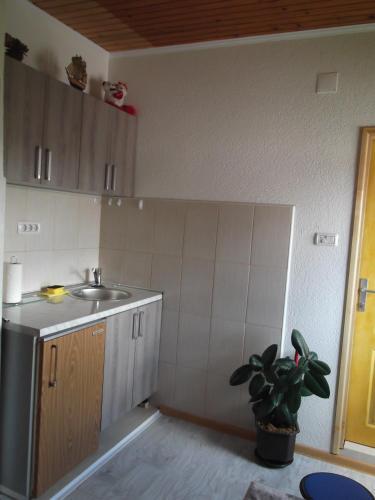 Apartamentos Guest House Kaved?i?