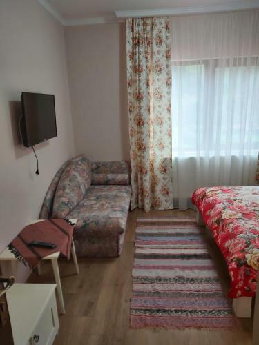 Hostal Pensiunea Sofy