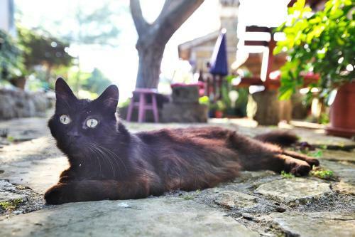 Agroturismo Cozy Istrian House