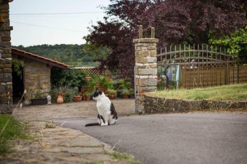 Agroturismo Cozy Istrian House