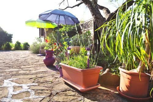 Apartments Baredi