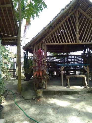 Lodge Gaga Haus On The Beach