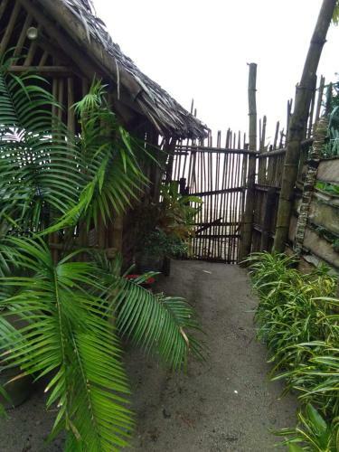 Lodge Gaga Haus On The Beach