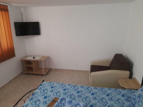 Hostal Pensiunea Lyo