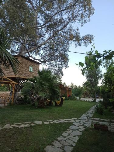 Bed & Breakfast Daidala Life