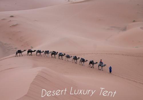 Hotel Desert Luxury Tent