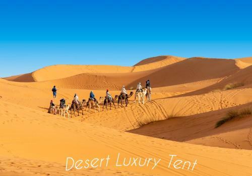 Hotel Desert Luxury Tent