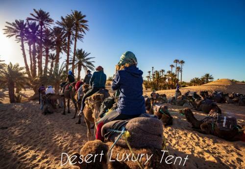 Hotel Desert Luxury Tent