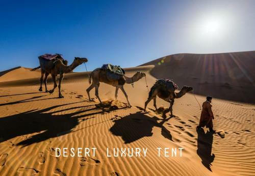 Hotel Desert Luxury Tent