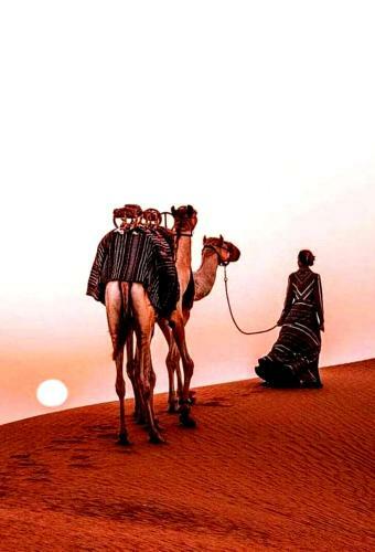 Hotel Desert Luxury Tent