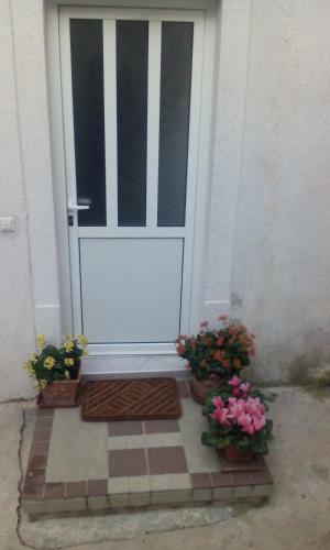 Apartman Punta Vilma