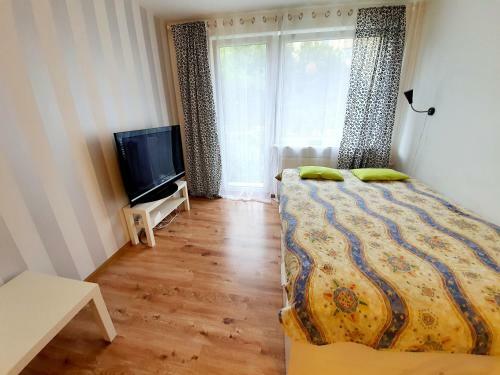 City Bubble Apartament