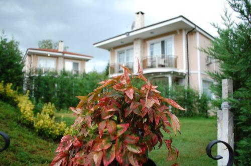 Villa La Mira Sapanca