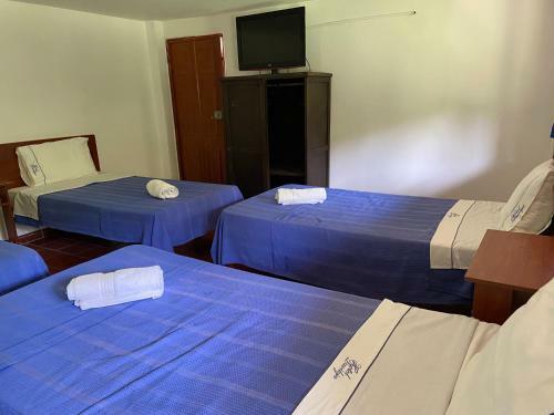Hotel Campestre Davilejas